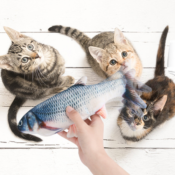 Amazon: Beewarm Flippity Fish Cat Toy $13.99 (Reg. $29.99)