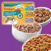 Purina Friskies Tasty Treasures Wet Cat Food Variety 12-Pack as low as...