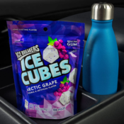 100 Count Ice Breakers Arctic Grape Ice Cubes Gum as low as $5.06 After...