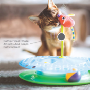 Petstages Cheese Chase Catnip Interactive Cat Track Toy $6.53 (Reg. $11.62)