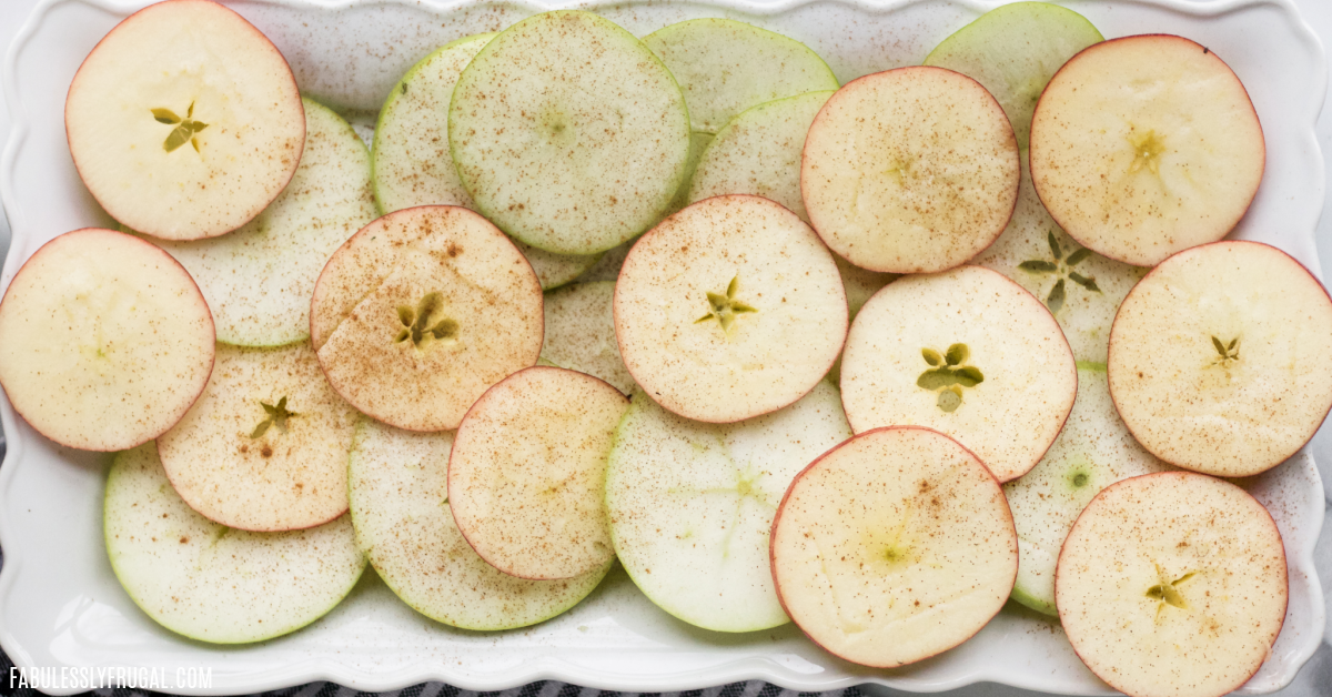 You only need 1 ingredient to make these air fryer apple chips