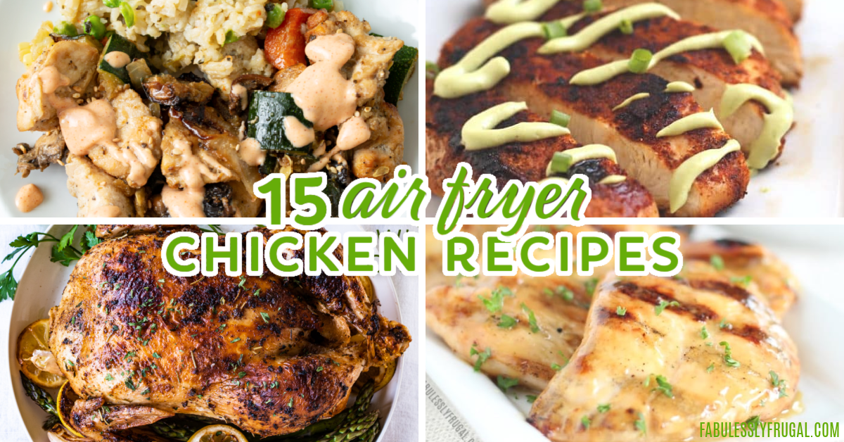 https://fabulesslyfrugal.com/wp-content/uploads/2021/07/15-air-fryer-chicken-recipes.png