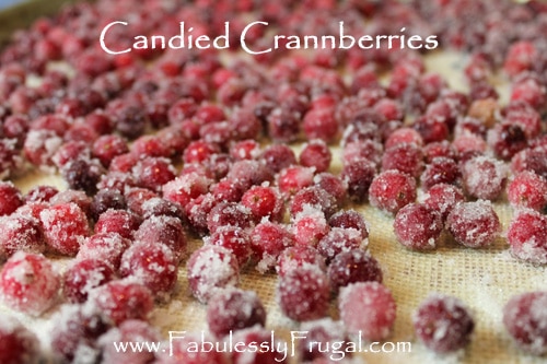 candied cranberry recipe