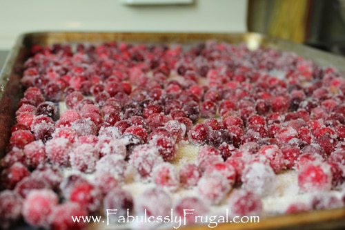 candied cranberries covered in sugar