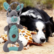 Charming Pet Plush Squeaky Dog Tug Toys from $9.83 (Reg. $16.99) - FAB...