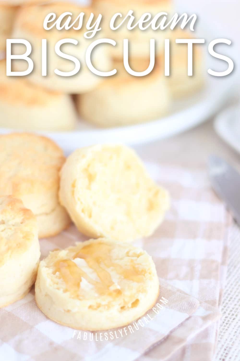 Easy make-ahead biscuit dough recipe
