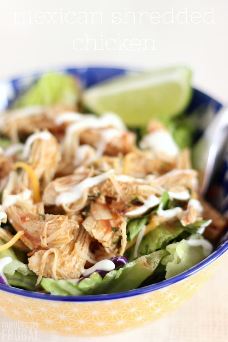 Instant Pot or slow cooker Mexican shredded chicken recipe