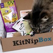 Today Only! KitNipBox - Monthly Cat Subscription from $12.99 Shipped Free...