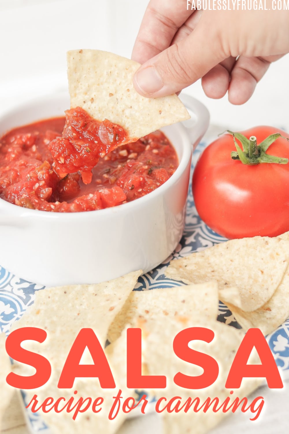Salsa recipe for canning