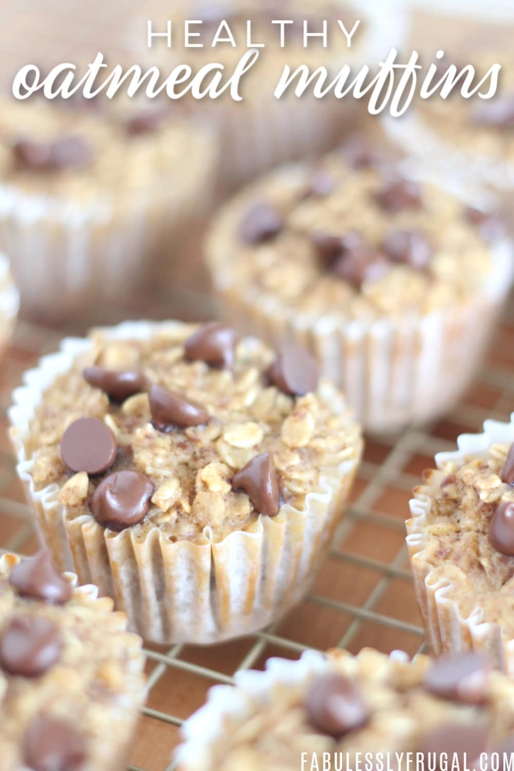 Healthy breakfast oatmeal muffins to go