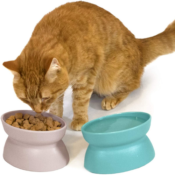 2-Pack Raised Cat Food Bowl $9.52 (Reg. $14.99) | $4.76 each bowl!