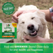 60 Count Greenies Original Petite Natural Dental Dog Treats as low as $30.58...