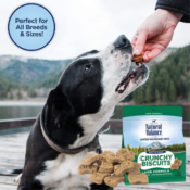 Natural Balance Grain-Free Dog Treats $3.99 (Reg. $5.63) - FAB Ratings!...