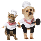 Pet Costumes from $14.99 | Chef, Cowboy, Granny & More!
