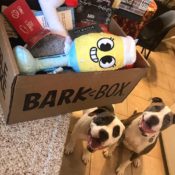 Today Only! BarkBox Monthly Subscription Box $26.40 Shipped Free (Reg....