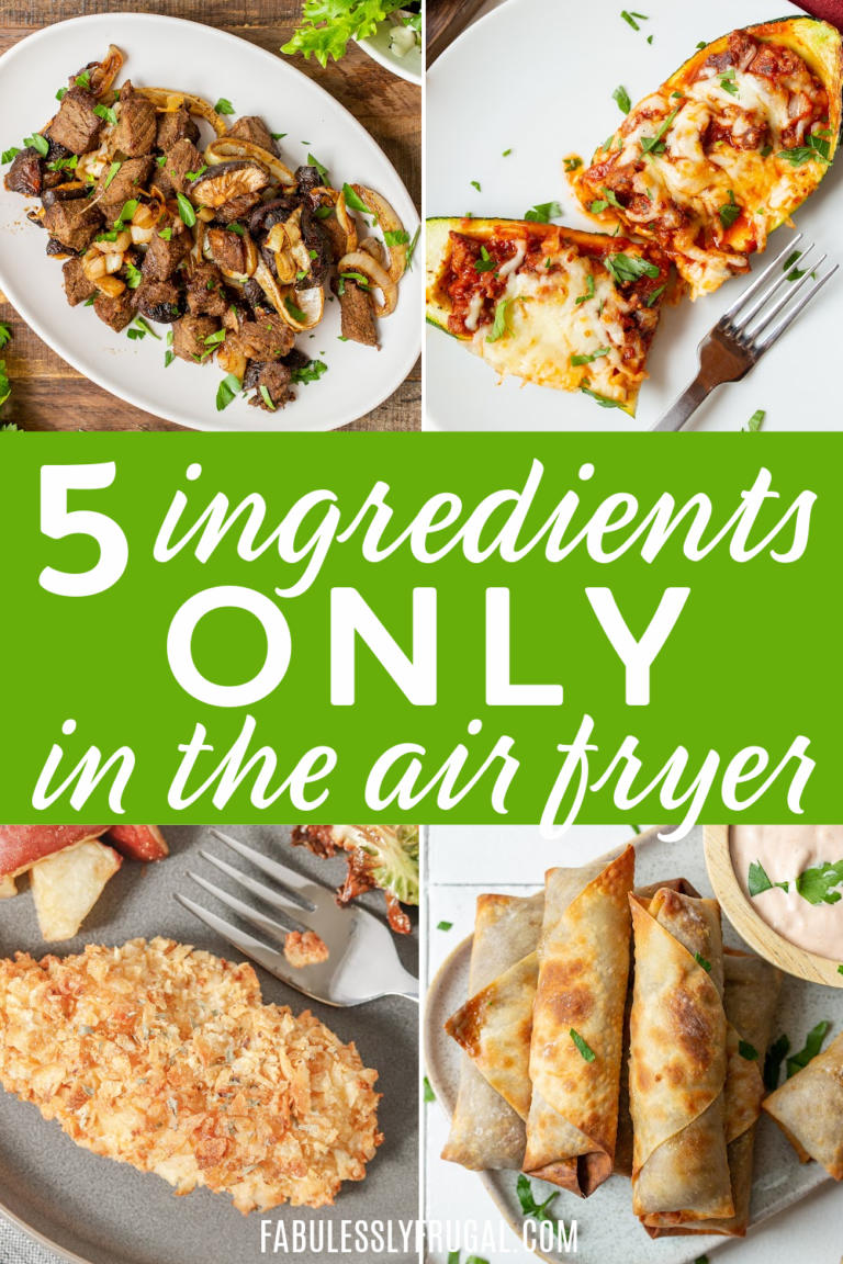 You Only Need 5Ingredients To Make These Amazing Air Fryer Recipes