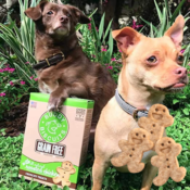 Buddy Biscuits Grain-Free Dog Treats $5.63 Shipped (Reg. $11) - FAB Ratings!