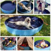 Today Only! Jasonwell Collapsible Dog Pools from $18.96 (Reg. $29+) - 28K+...
