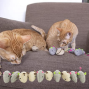 Set of 10 Plush Catnip Mice Cat Toys as low as $4.54 Shipped Free (Reg....