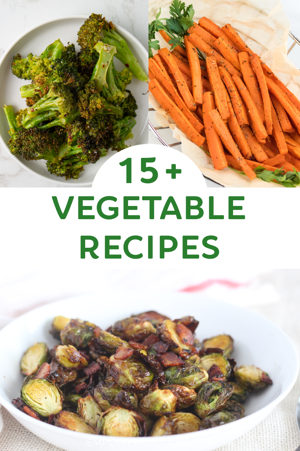 15+ vegetable recipes