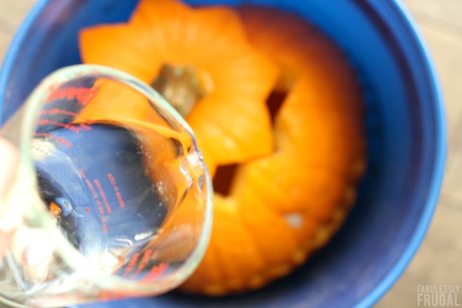 how to make a pumpkin last longer with bleach