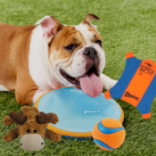 4 Dog Toys as low as $17.27 (Reg. $52) | Only $4.32 each - Buy 3, Get 1...