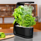 Amazon Cyber Monday! AeroGarden Sprout Indoor Garden & Herb Seed Kit $49.99...