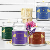 ELBBAY 50 Hours Burn Fine Home Fragrance Scented Candles $9 After Code...