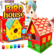Build & Paint Your Own Wooden Bird House $8.99 (Reg. $18.99) - FAB...
