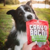 Stella & Chewy's Crav'n Bac'n Dog Treats, 8.25 oz as low as $4.98 Shipped...