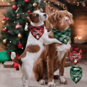 2 Pack Dog Christmas Bandanas $6.59 After Code (Reg. $11.99) - FAB Ratings!...