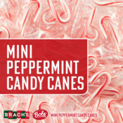 Brach's 260-Count Mini Candy Canes Tub $12.39 (Reg. $15.49) | $0.05/candy