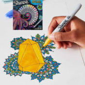 30 Count Sharpie Spinner Pack Permanent Markers $12 (Reg. $24) - $0.40/...