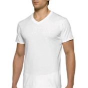 6-Pack Gildan Men's V-Neck T-Shirt $11.97 (Reg. $15.76) | $2 each shirt!
