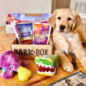 Today Only! BarkBox Monthly Subscription Box $17.50 Shipped (Reg. $35)...