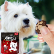 Cesar 180-Count Softies Dog Treats as low as $4.04 Shipped Free (Reg. $9)...