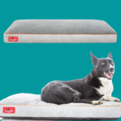 Shredded Memory Foam Dog Bed from $32.99 Shipped Free (Reg. $44.99)