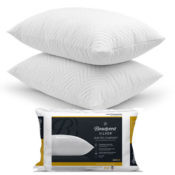 2-Pack Beautyrest Memory Foam Pillows $20 (Reg. $40) | $10 each!