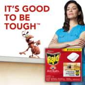 8-Count Raid Ant Killer Baits For Household Use $3.59 (Reg. $5.13) | 45¢...