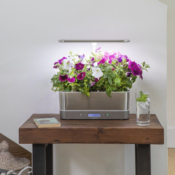 AeroGarden Harvest Elite Slim Indoor Garden with LED Grow Light $81.27...