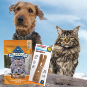 Buy 3, Get 1 Free Pet Treats & Toys | FOUR Blue Buffalo Soft Cat Treat...