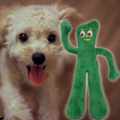Gumby Plush Filled Dog Toy 9-inch $3.57 (Reg. $10.09)