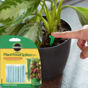 24 Count Miracle-Gro Indoor Plant Food Spikes $3.47 (Reg. $5.49) - $0.15/...