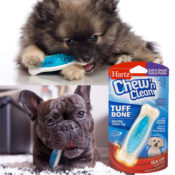 Hartz Chew 'n Clean Tuff Bone Dog Chew Toy, Bacon Scented as low as $1.93...