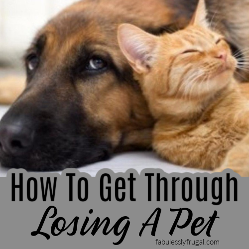 how to cope with losing a pet