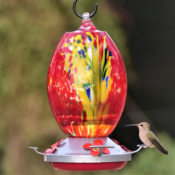 Hand Blown Glass Hummingbird Feeder $15.99 (Reg. $24.99) - FAB Ratings!...