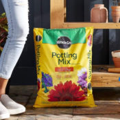 Miracle-Gro Potting Mix, 16 Qt as low as $6.64 Shipped Free (Reg. $8) -...