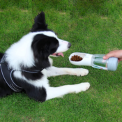 Portable Dog Water Bottle with Food Container $10.99 After Code (Reg. $19.99)