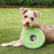 TWO ChuckIt! Dog Frisbees as low as $9.32 Shipped Free (Reg. $27.98) |...