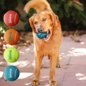 4 Pack Outward Hound Small Squeaker Ballz Fetch Dog Toys as low as $3.79...